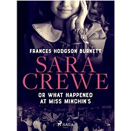Sara Crewe or What Happened at Miss Minchin's - Frances Hodgson Burnett