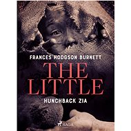 The Little Hunchback Zia - Frances Hodgson Burnett