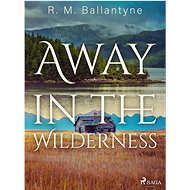 Away in the Wilderness - R. M. Ballantyne