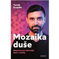 Mozaika duše  - Tomáš Kvapilík