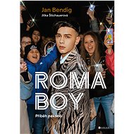 Roma boy - Jitka Štichauerová