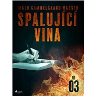 Spalující vina - Díl 3 - Inger Gammelgaard Madsen