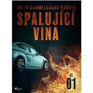 Spalující vina - Díl 1 - Inger Gammelgaard Madsen