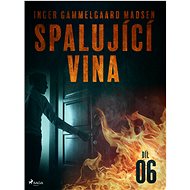 Spalující vina - Díl 6 - Inger Gammelgaard Madsen