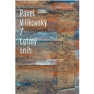 Letmý sníh - Pavel Vilikovský