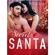 Secret Santa – Erotic Christmas Story - Mila Lipa