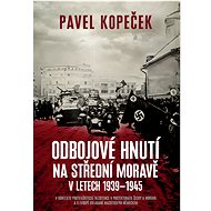 Odbojové hnutí na střední Moravě - Pavel Kopeček