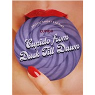 Cupido from Dusk Till Dawn: A Collection of the Best Erotic Short Stories - 