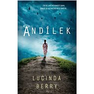 Andílek - Lucinda Berry