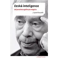 Česká inteligence - Pavel Kosatík