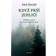 Když prší jehličí - Aleš Dostál