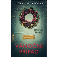 Christmas case - Jitka Ludvíková