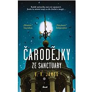 Čarodějky ze Sanctuary - V. V. James