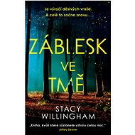 Záblesk ve tmě - Stacy Willingham