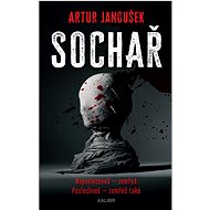 Sochař - Artur Janoušek