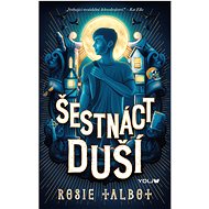 Šestnáct duší - Rosie Talbot