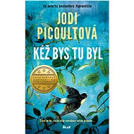 Kéž bys tu byl - Jodi Picoult
