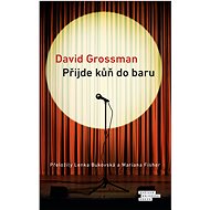 Přijde kůň do baru - David Grossman