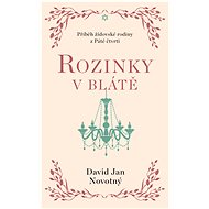 Rozinky v blátě - David Jan Novotný