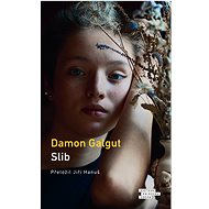 Slib - Damon Galgut