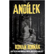 Andílek - Roman Horňák