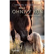 My Fire Horse - Riding in the Aurora Borealis - Chantal Schreiberová
