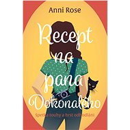 Recept na pana Dokonalého - Anni Rose