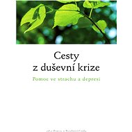 Cesty z duševní krize - Susanne a kol. Barknowitz