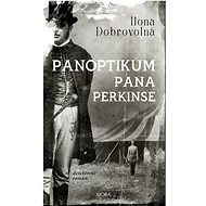 Mr. Perkins' Panopticon - Ilona Dobrovolná