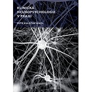 Clinical neuropsychology in practice - Petr Kulišťák  Kol.