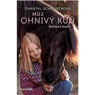 My Fire Horse - Snow Storm - Chantal Schreiberová