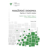 Manažerská ekonomika. Kapitoly k finanční analýze. - Jiří Hoblík