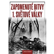Zapomenuté bitvy 1. světové války - Jaroslav Nedobitý