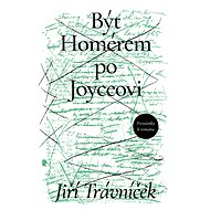 Být Homérem po Joyceovi - Jiří Trávníček