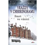 Vraždy v Cherringhamu - Smrt ve vánici - Matthew Costello