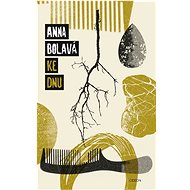 Ke dnu - Anna Bolavá
