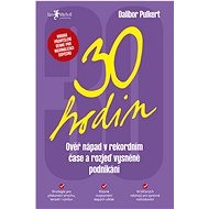 30 hodin  - Dalibor Pulkert