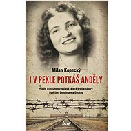 I v pekle potkáš anděly - Milan Kopecký