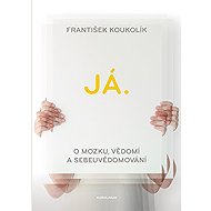 I. On the brain, consciousness and self-awareness - František Koukolík