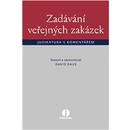 Zadávání veřejných zakázek - David Raus