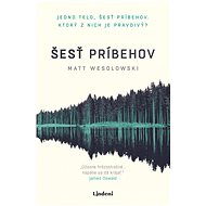 Šesť príbehov - Matt Wesolowski