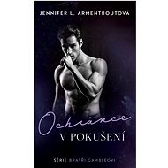 Ochránce v pokušení - Jennifer L. Armentrout