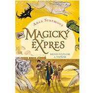 Magický expres 2 - Medzi svetlom a tieňom - Anca Sturmová