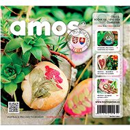 Amos 02/2024 - Tvořivý Amos