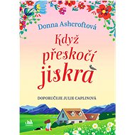 When the spark jumps - Donna Ashcroftová