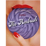 The Ambush - Erotic Short Story - 