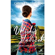 Velšský slavíček - Carole Llewellyn