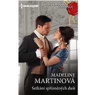 Setkání spřízněných duší - Madeline Martinová