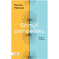Chmýří pampelišky - Monika Fišerová