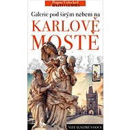 Who's Who on Charles Bridge - Stories of Saints, Sculptors and Donors - Lubor Matěj